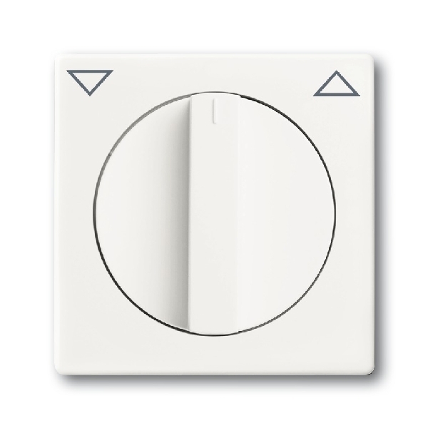 Busch-Jaeger centraalplaat 1740-884 studiowit mat (2CKA001710A3872) afbeelding 2