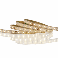 LED Strip 24V 60 LED-4,8W/m 2700K dimbaar IP67 5m afbeelding 1