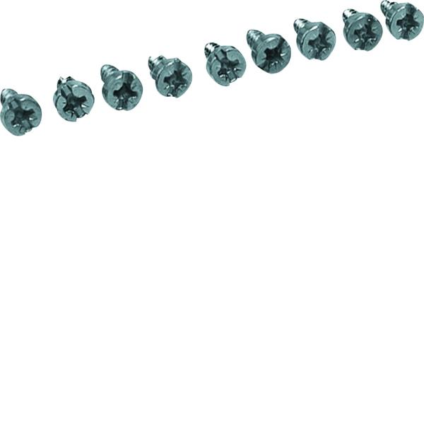 Hager Bevestigingsschroeven 4,2x13mm VPE=100 UZ06Z4 afbeelding 2
