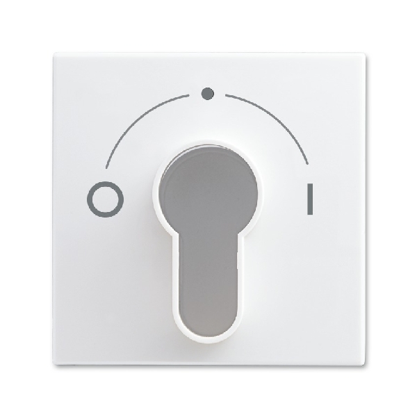 Busch-jaeger Centraalplaat slot 2733usl SI-B 2557 slpz 914 101 (2CKA001710A4070) afbeelding 2