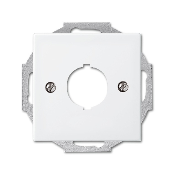 Busch-jaeger Centraalplaat boring 19mm SI-B 2534 914 (2CKA001724A4343) afbeelding 2