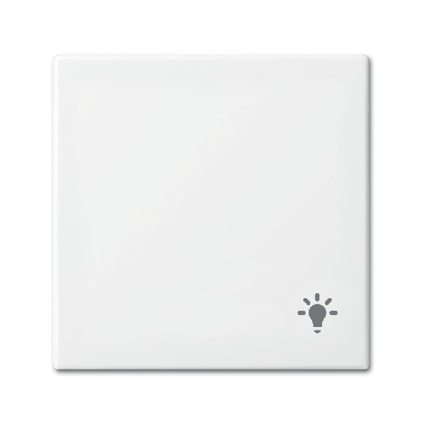 Busch-jaeger Wip puls lichtsymbool SI-B 2520 li 914 (2CKA001731A2010) afbeelding 2