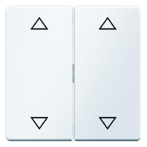 BERKER 16446089 WIPPEN+ODR PIJLSYMB PWFLU Q1 afbeelding 2