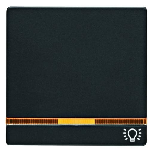 BERKER 16216076 WIP 1V LENS+SYMB-LICHT Q. ANTR afbeelding 2