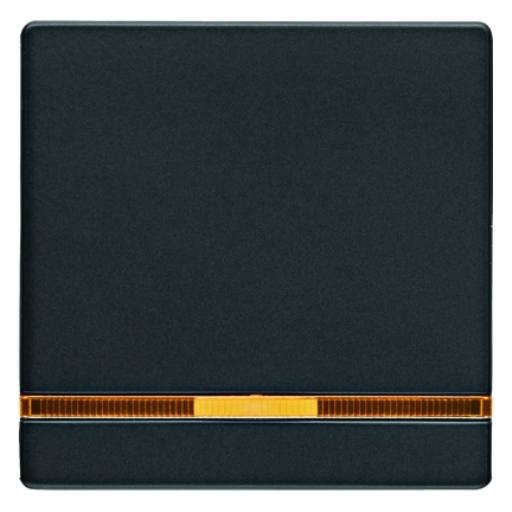 BERKER 16216086 WIP 1V LENS Q. ANTR afbeelding 2