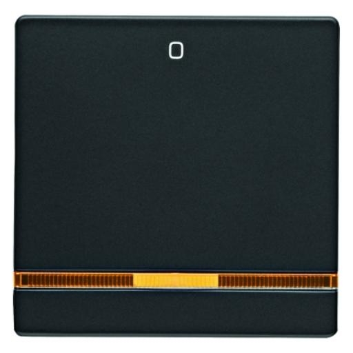 BERKER 16246086 WIP 1V LENS+SYMB-0 Q. ANTR afbeelding 2