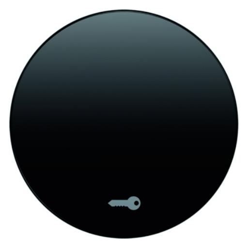 Berker wip sleutel symbool R1-R3 ZW 16202015 afbeelding 2