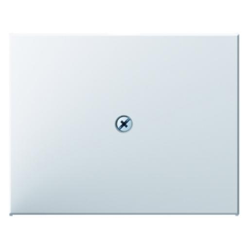 BERKER 10057009 CENTRAALSTUK TBV VDO AANSL PWT afbeelding 2