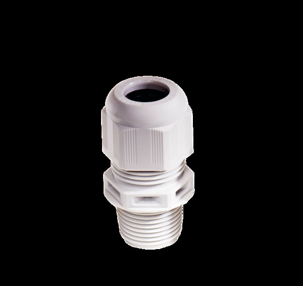 WISKA NSKV2 WISKA NSKV 2INCH NPT WARTEL GR afbeelding 2