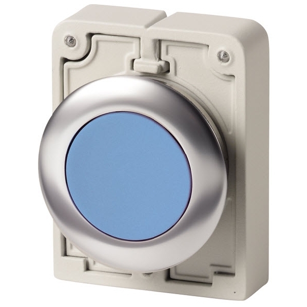 EATON M30C-FDR-B DRUKKNOP 30MM VLAK BLAUW VAST afbeelding 2