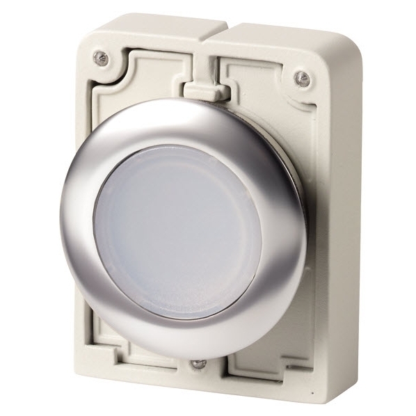 EATON M30C-FDRL-W SIGNAALDRUKKNOP 30MM VLAK WIT afbeelding 2