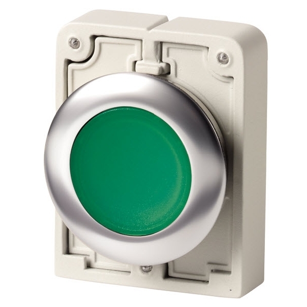 EATON M30C-FDRL-G SIGNAALDRUKKNOP 30MM VLAK GROE afbeelding 2