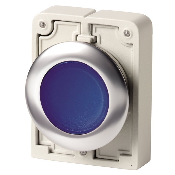 EATON M30C-FDRL-B SIGNAALDRUKKNOP 30MM VLAK BLAU afbeelding 2