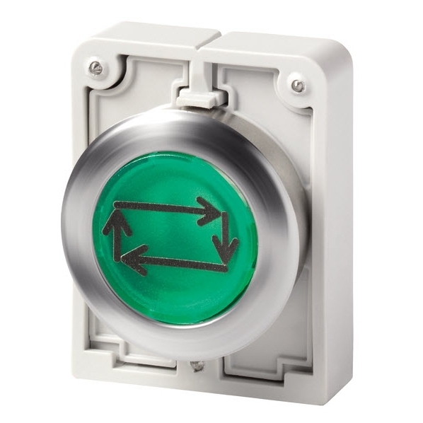 EATON M30C-FDL-G-X32 SIGNAALDRUKKNOP 30MM VLAK GRO afbeelding 2
