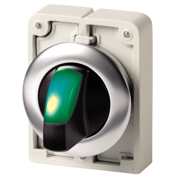 EATON M30C-FWRLK-G SIGNAALKEUZESCHAKELAAR 30MM VL afbeelding 2
