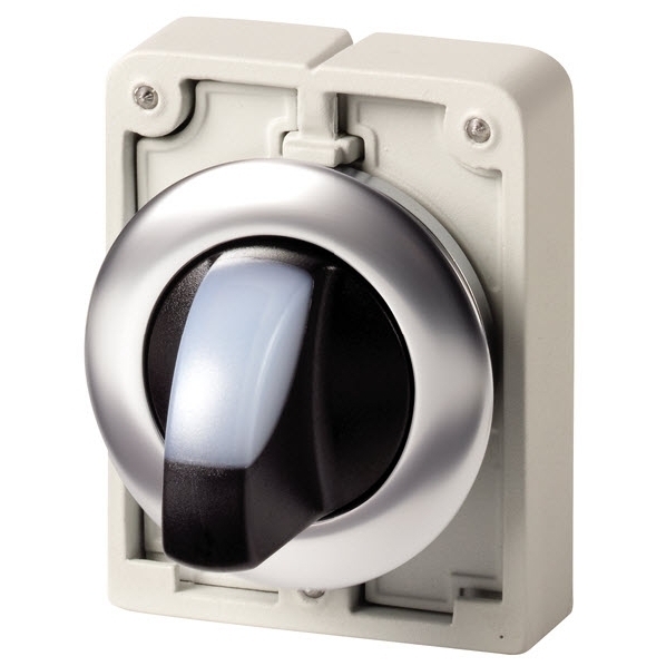 EATON M30C-FWRLK-W SIGNAALKEUZESCHAKELAAR 30MM VL afbeelding 2