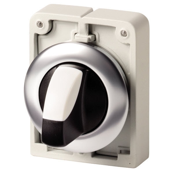 EATON M30C-FWKV KEUZESCHAKELAAR 30MM VLAK 2 ST afbeelding 2