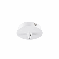 Pendelarmatuur rozet Fitu 1v wit afbeelding 2