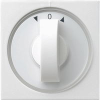 Gira System 55 Cpl draaischak. 3-standen jaloezie zuiver wit 066603
