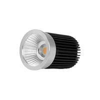 Led Module | 50mm | 700mA | 12W | Alu | Flame Dim afbeelding 1
