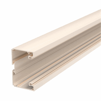 Rehau wandgoot 70x110 R9001 kunststof afbeelding 2
