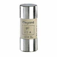 Legrand buiszekering 80A 22x58mmHRC gG met pin afbeelding 2