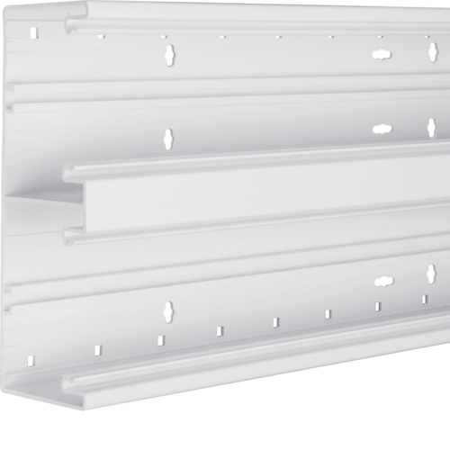 Hager Bodemprofiel BR65 PVC 65x170mm dubbel, wit BR652101D9016 afbeelding 1