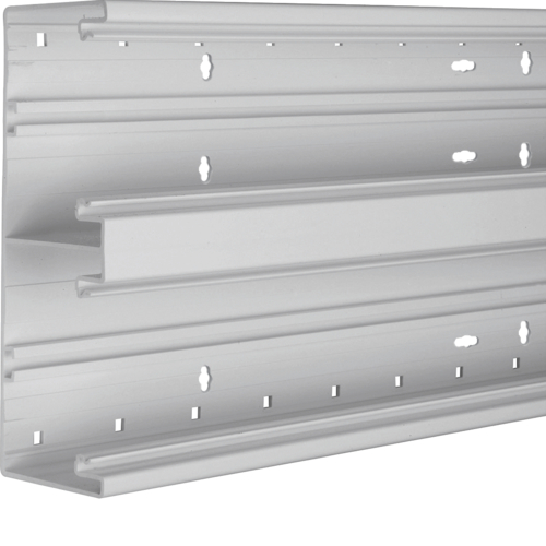 Hager Bodemprofiel BR65 PVC 65x170mm dubbel, grijs BR652101D7035 afbeelding 1
