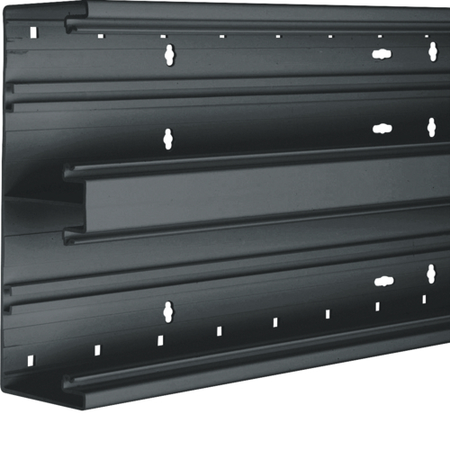 Hager Bodemprofiel BR65 PVC 65x170mm dubbel, zwart BR652101D9011 afbeelding 1
