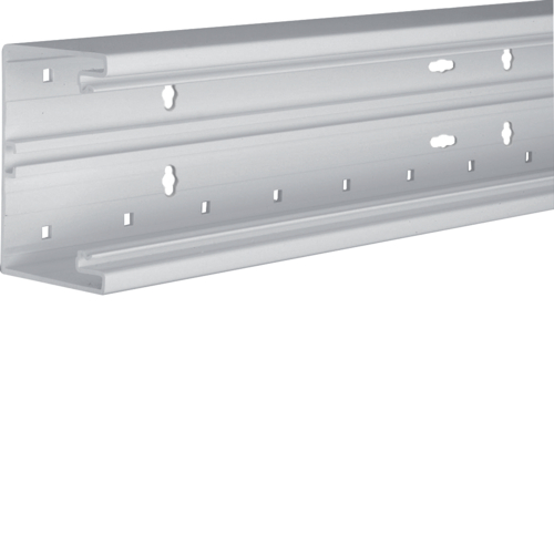 Hager Bodemprofiel BR65 PVC 65x100mm, RAL7035 grijs BR6510017035 afbeelding 1