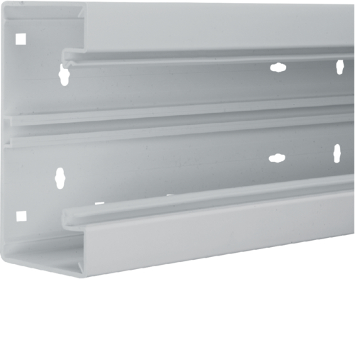 Hager Bodemprofiel BR65 PVC 65x170mm, RAL7035 grijs BR6517017035 afbeelding 1