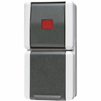 Combi opb IP44 slv WCD RA+wissel kontr. + bak WG8 afbeelding 2