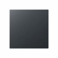 Blindplaat slv IP44 antr.mat A afbeelding 2
