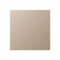 Blindplaat slv IP44 champagne A afbeelding 2