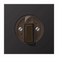 Cpl+knop slv draaischakelaar dark LS afbeelding 2
