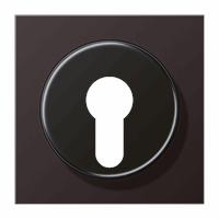 Cpl slv sleutelschak. Dark LS afbeelding 2
