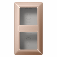 Opbouwbehuizing 2v + afdekraam champagne A/AS afbeelding 2