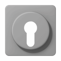 Cpl slv sleutelschak. grijs CD afbeelding 2