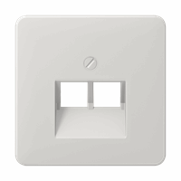 CPL Slv 2Xiae/Uae Rut./Teleg. Lichtgrijs Cd afbeelding 2