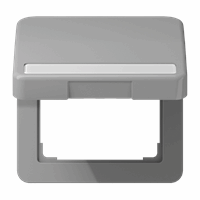 Klapdeksel slv tekstkd 9x58 50X50mm grijs CD afbeelding 2
