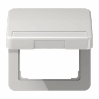 Klapdeksel slv tekstkd 9x58 50X50mm lichtgrijs CD afbeelding 2
