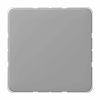 Blindplaat slv grijs CD afbeelding 2