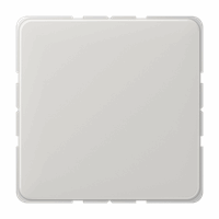 Blindplaat slv lichtgrijs CD afbeelding 2