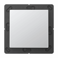 Wandzender 1v inb slv RF 2 kanaal aluminium A/AS afbeelding 2