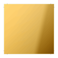 Blindplaat slv goudkl.  LS afbeelding 2