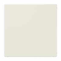 Blindplaat crème LS afbeelding 2
