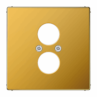 Cpl slv 2x audio boring 18,5/22,5mm gl.goud LS afbeelding 2