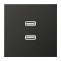 Cpl slv inb 2xUSB 2.0 antraciet LS afbeelding 2