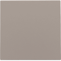 NIKO 123-76001 CPL AFSLUITPL BRONS afbeelding 2