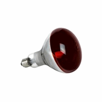 Sylvania 0033011 Infrarood Gloeilamp Rfl R125 afbeelding 2